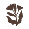 LOGO_B_B_MARRON.png