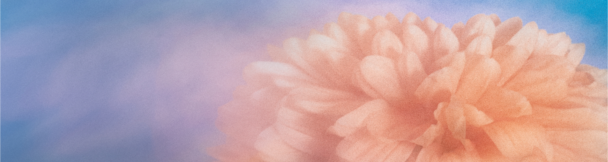 banniere_flodesk_summer_2.png